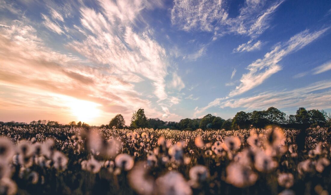 Ünlü dizi oyuncusu, sosyal medyada yarattığı etkileyici paylaşımıyla büyük bir