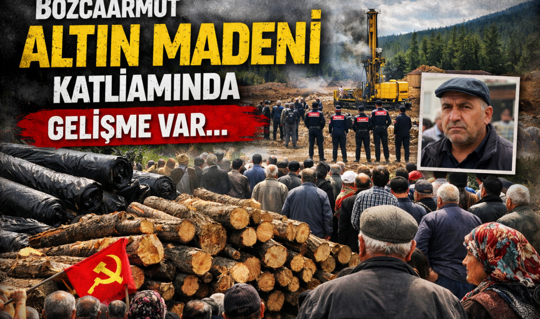 Bozcaarmut Altın Madeni katliamında gelişme var… Bozcaarmut’ta altın madeni sondajı sonrası yeni gelişme. Kesilen ağaçlar meydanda,
