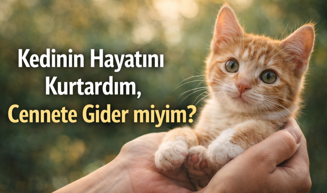 Bir kedinin hayatını kurtarmak büyük sevaptır. Cennet tek amele bağlı